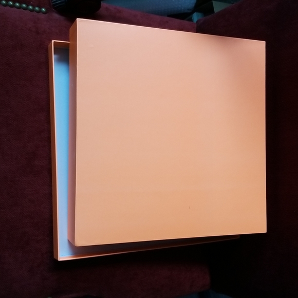 Drunk Elephant Orange Tambourine  Large Cardboard Box New - Picture 11 of 12